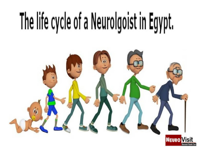 Neurologist in Egypt  - life cycle of a Neurologist in Egypt.